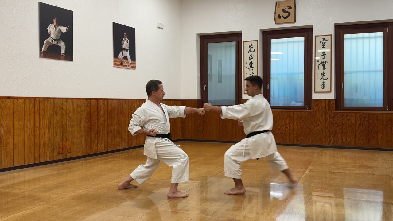 Hangetsu - Full Karate Kata Explanation with Bunkai - Master Dario Marchini