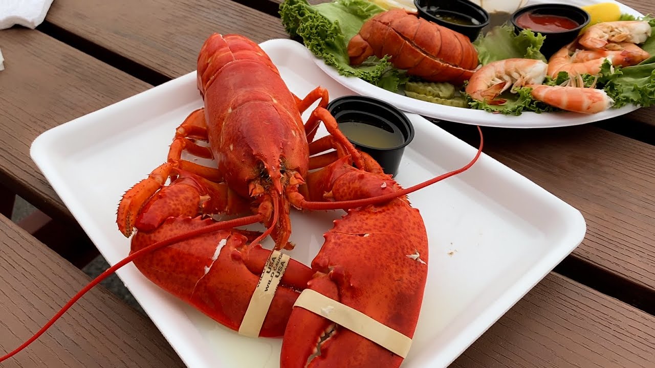 Best Lobster Place in Maine / Young's Lobster Pound
