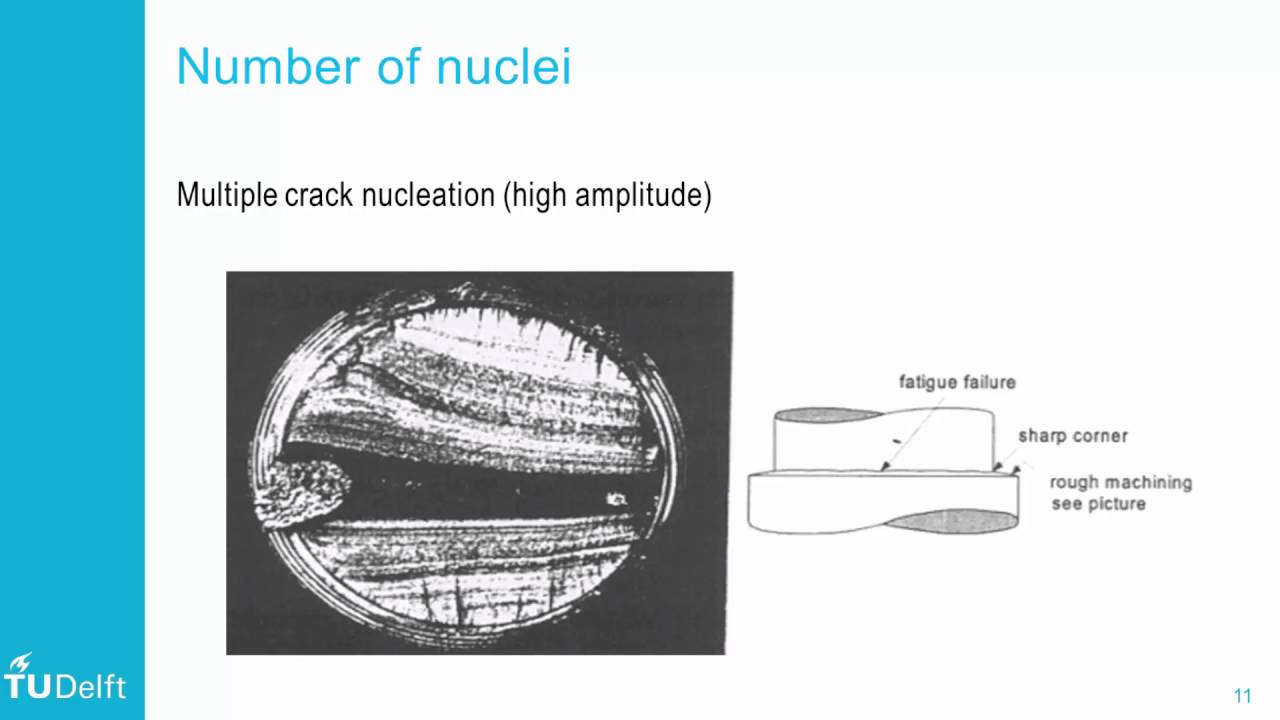 Fatigue Mechanisms