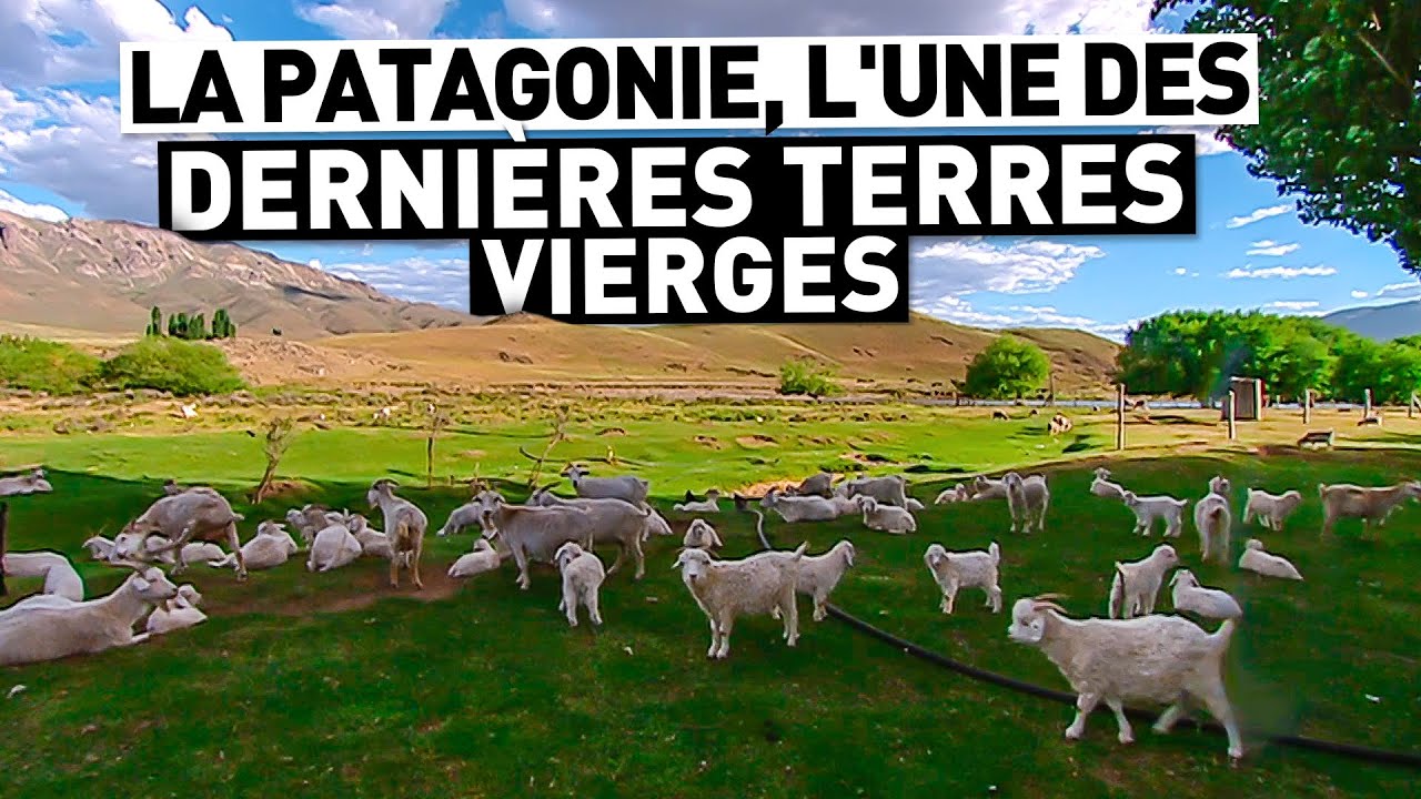LA PATAGONIE, L'UNE DES DERNIÈRES TERRES VIERGES