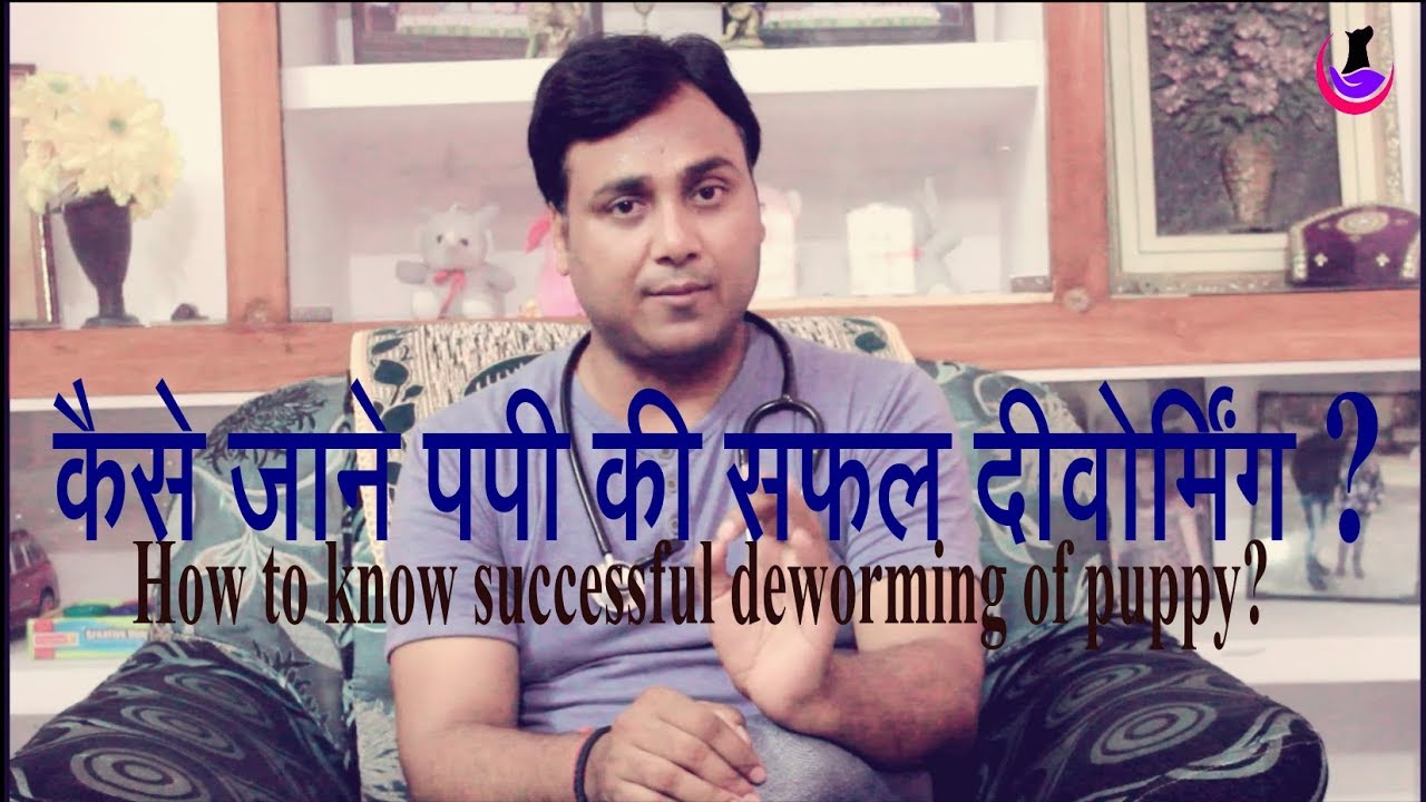 कैसे पता करे Puppy की successful deworming ?