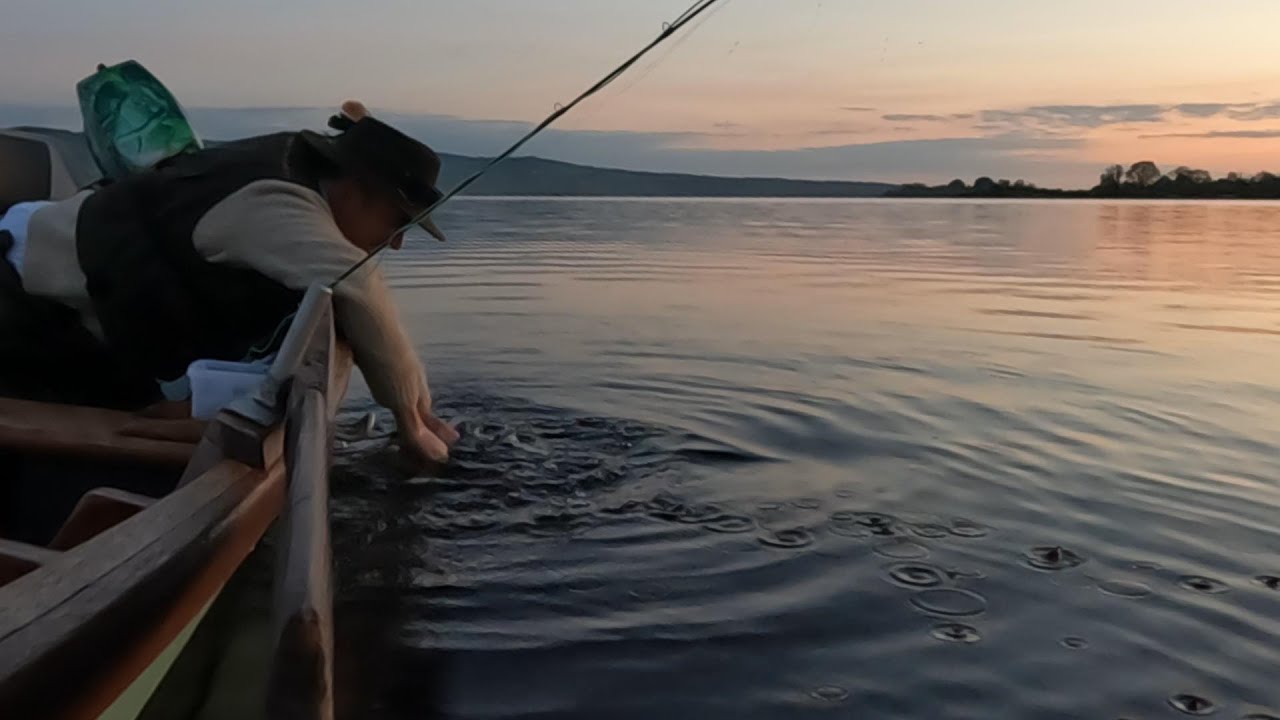 Awsome Mayfly top water flyfishing for wild brown trout in Ireland.Wind gone. Was buzzin after this.