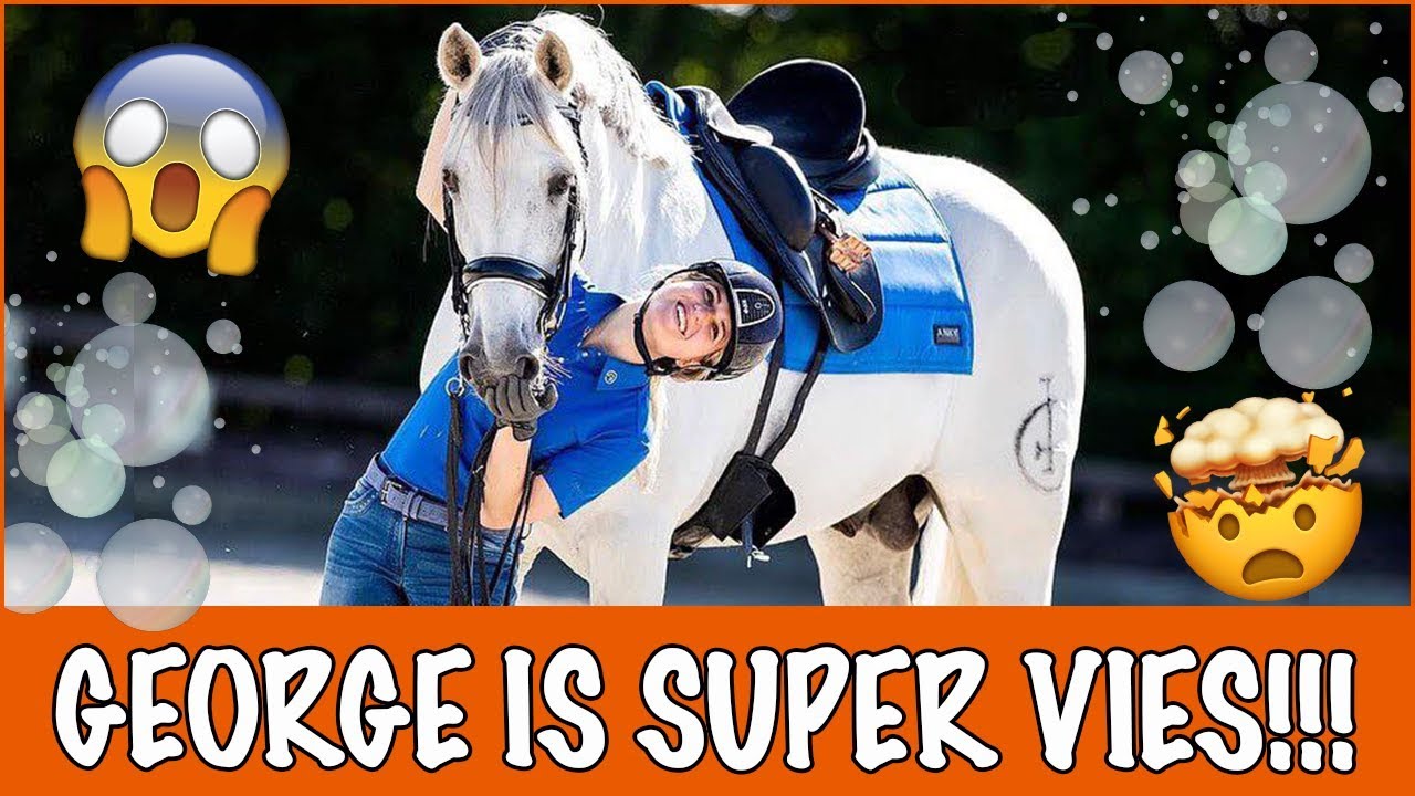 Hoe maak ik George op zijn mooist? | PaardenpraatTV