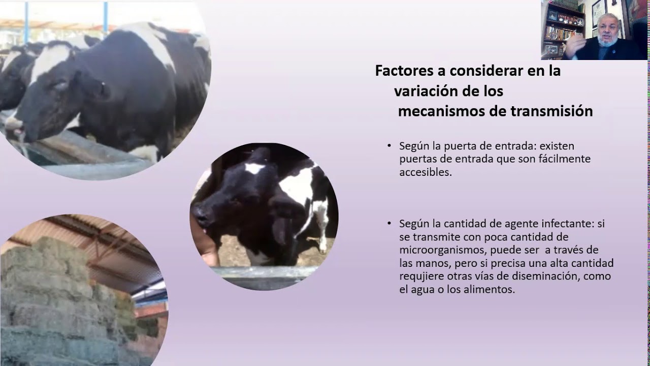 07  Cadena epidemiológica