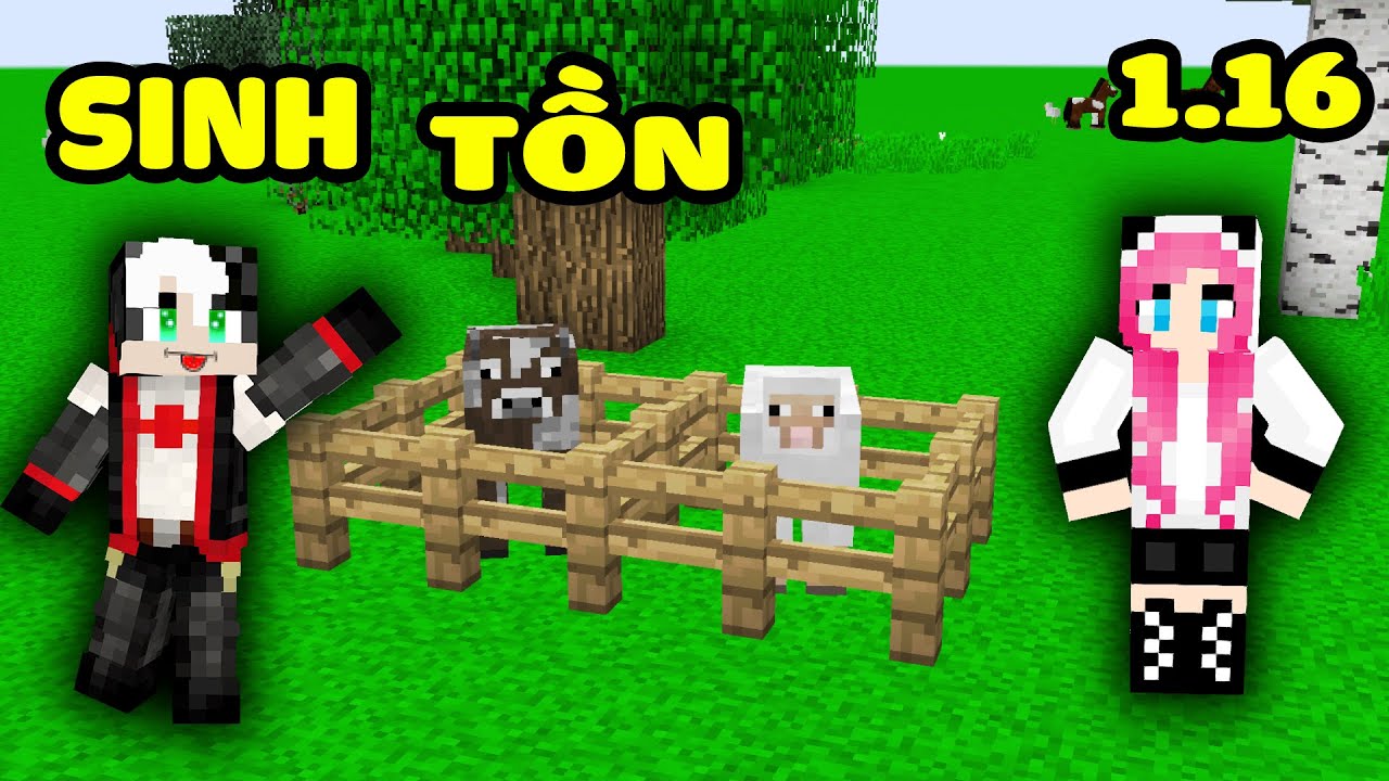 PANDA THỬ THÁCH SINH TỒN 1.16 TRONG MINECRAFT TẬP 3*REDHOOD VÀ MỀU XÂY TRANG TRẠI
