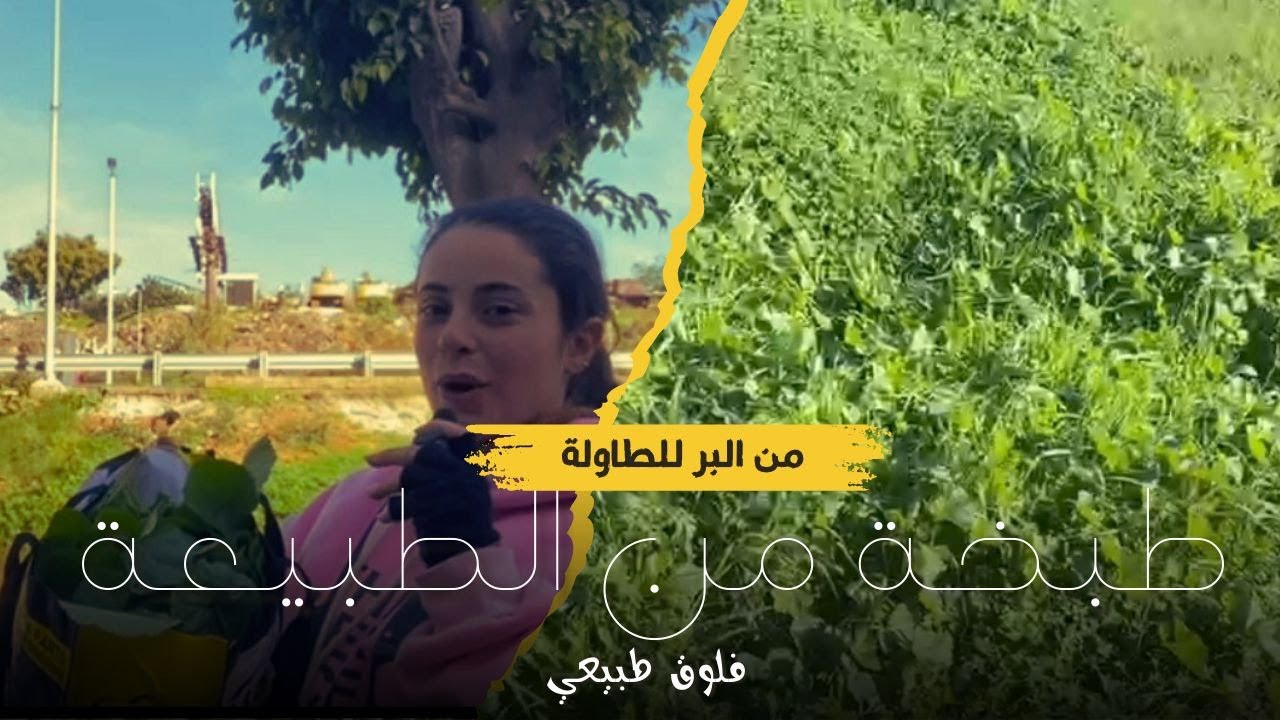 رحلة قطف الخبيزة من البرية للمائدة | تعالو شوفو شو صار معي 😱😱😱