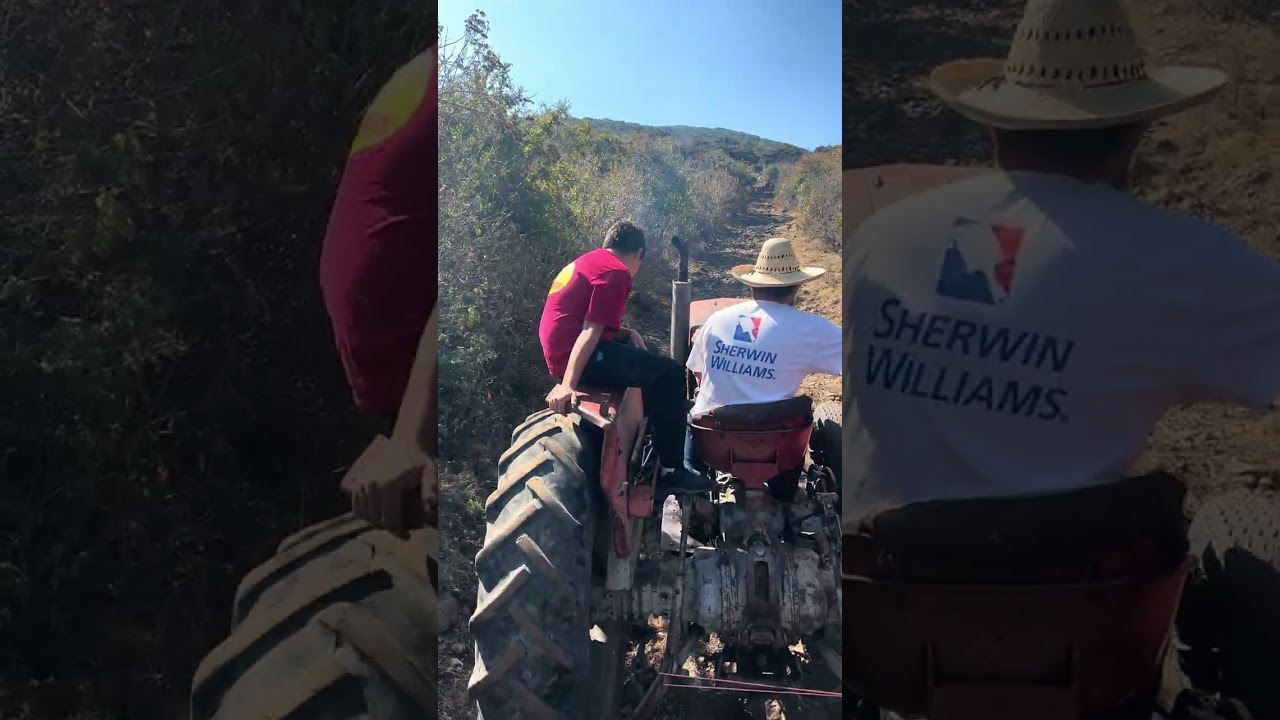 Transportando agua 