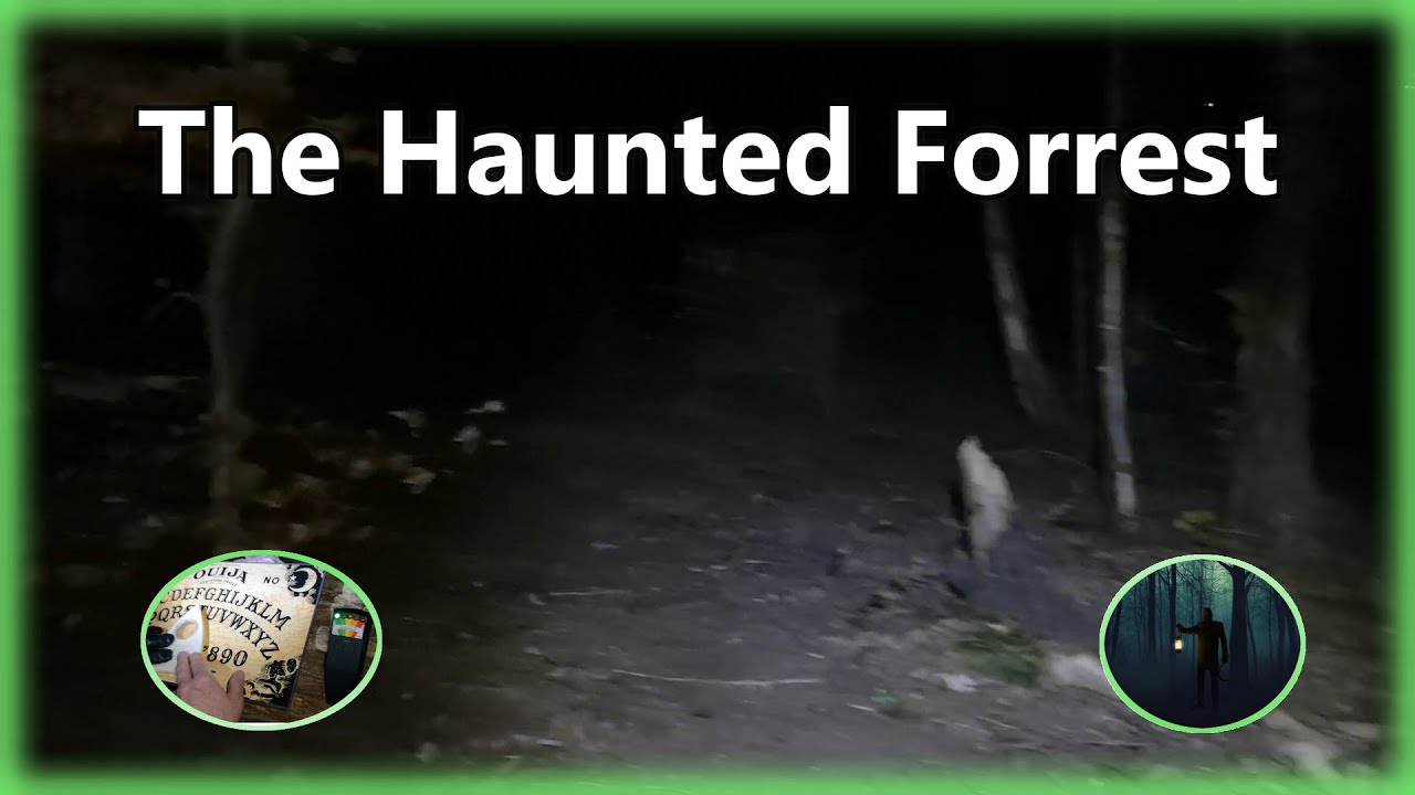 The Haunted Forrest Paranormal Activity