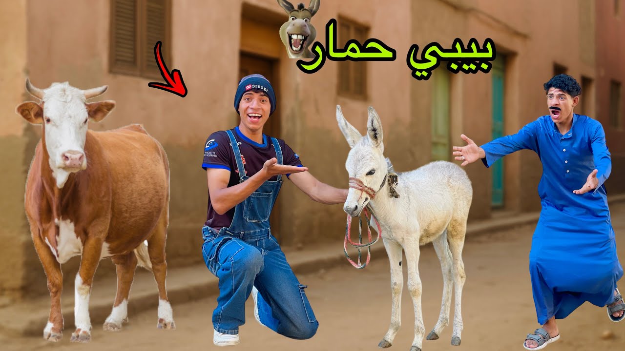 لما اخوك الصغير يجيب بيبي حمار البيت ويطلع مجنون 🐴😂| علاء حسين 