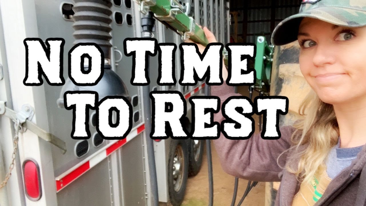 No Time To Rest : The Dozing Goes On