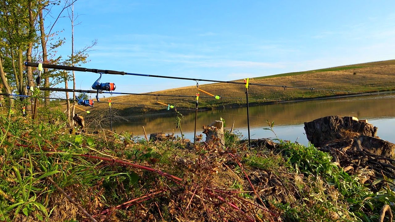 Рыбалка сказка! Хотел карася, но атаковали озерные торпеды! Осенняя рыбалка на кормачки!