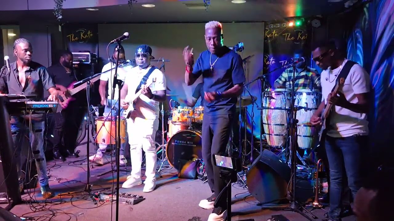 DISIP GAZZMAN COULEUR 