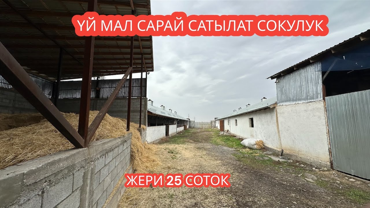 УЙ МАЛ САРАЙ САТЫЛАТ СОКУЛУК 2023