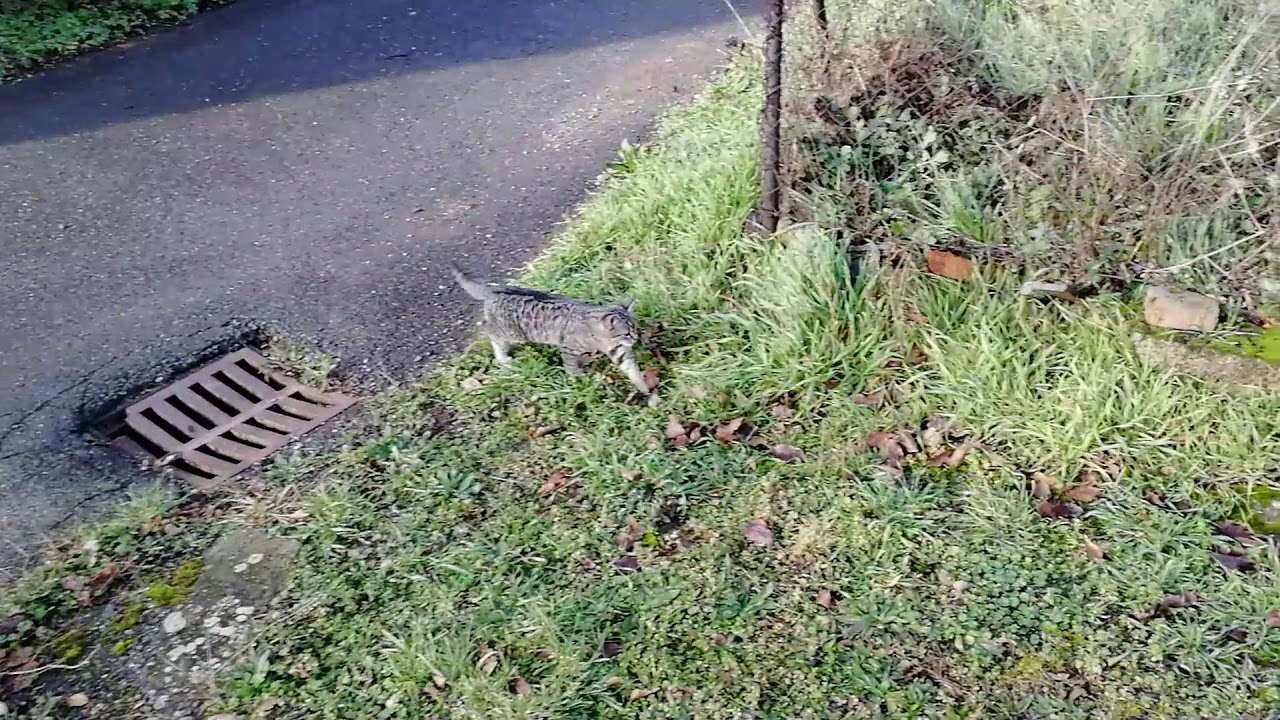 Rostou, potvory :) (16.12.2019)