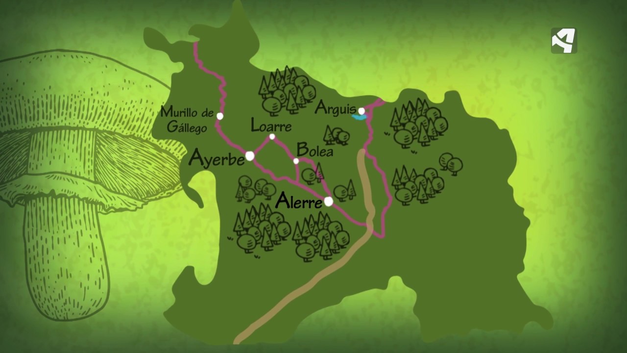 Cazadores de setas en la Hoya de Huesca