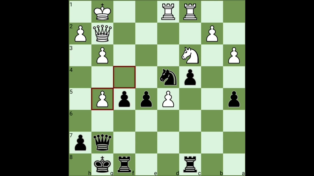 Kasparov's Greatest Selected Chess Game V1 | Topalov vs Kasparov (1996)