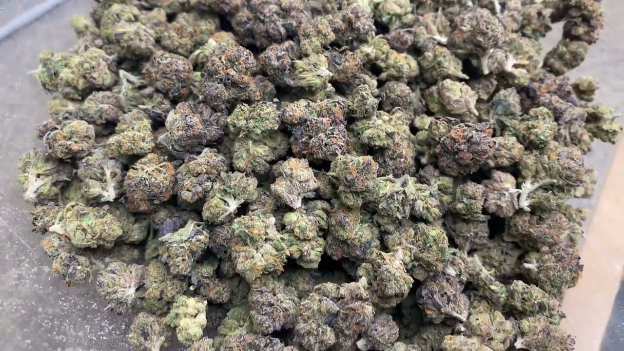 Bulk THCa Flower Strain: Cereal Milk