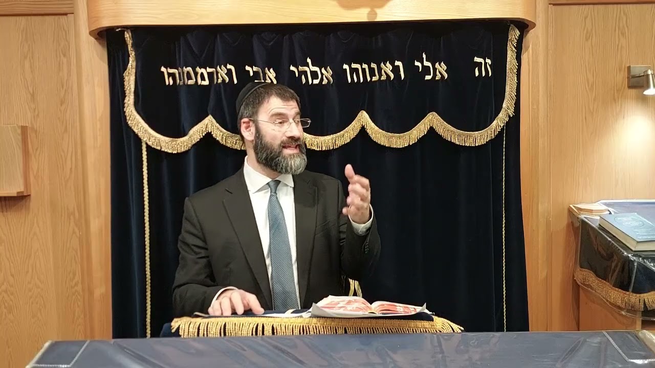 Timeless Torah - Ki Tissa 5786