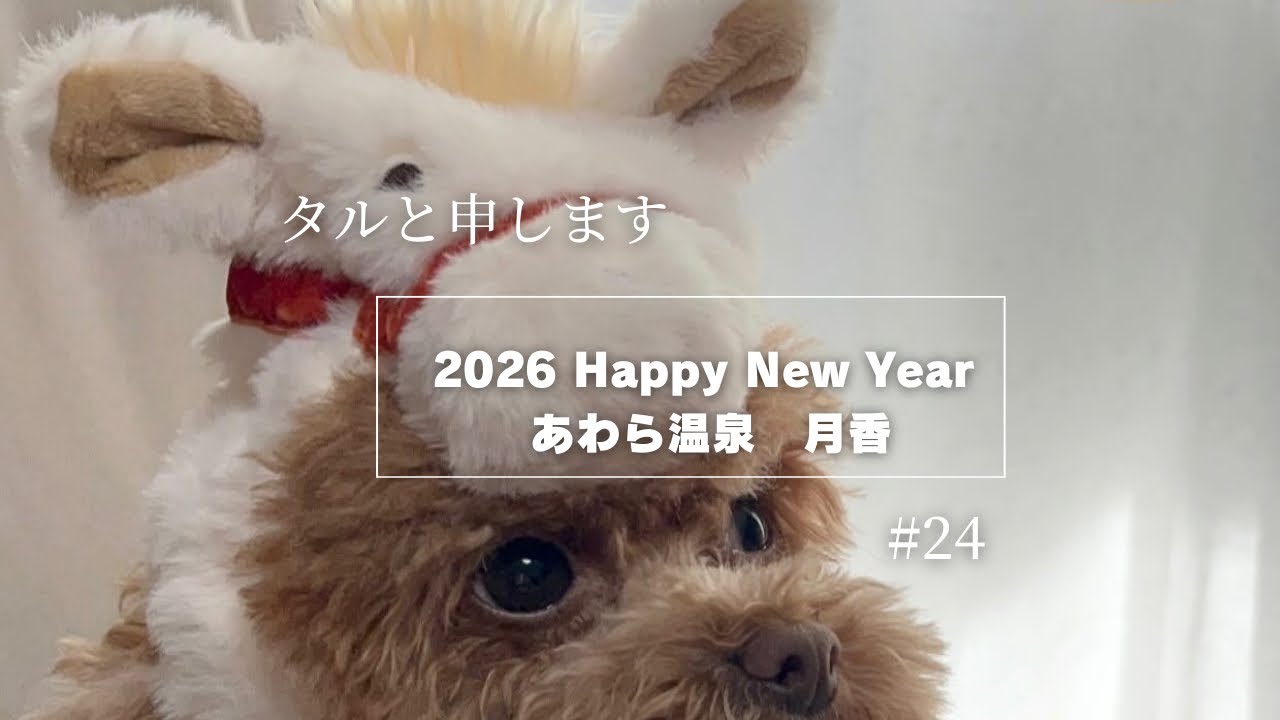 #24  Welcome2026  あわら温泉月香で過ごすお正月🎍