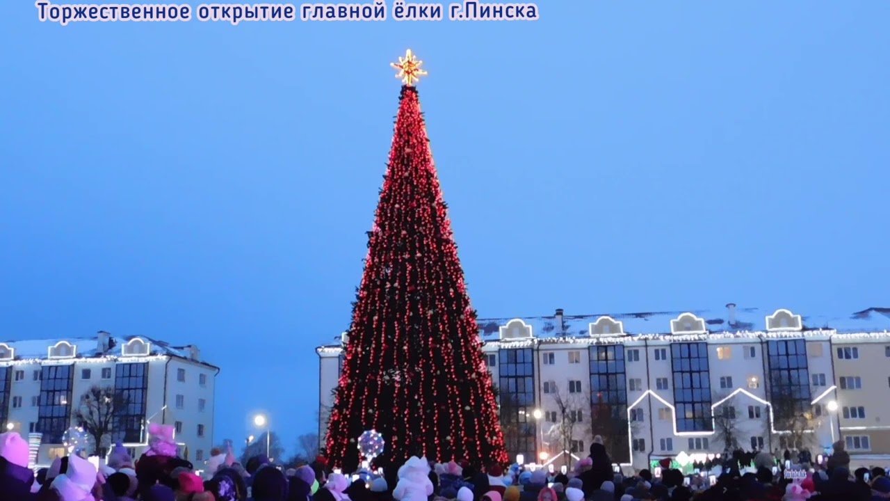 В Пинске зажгли ёлку.