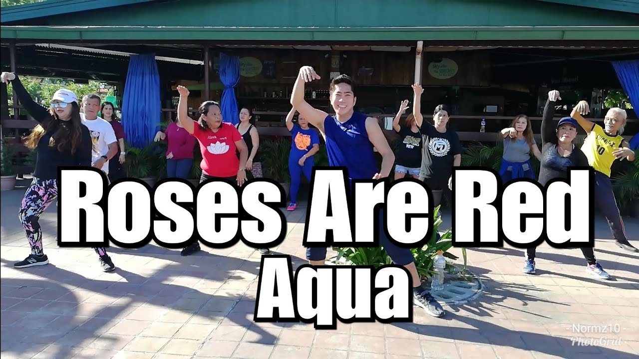 AQUA - ROSES ARE RED | Dance Fitness | #DanceNice
