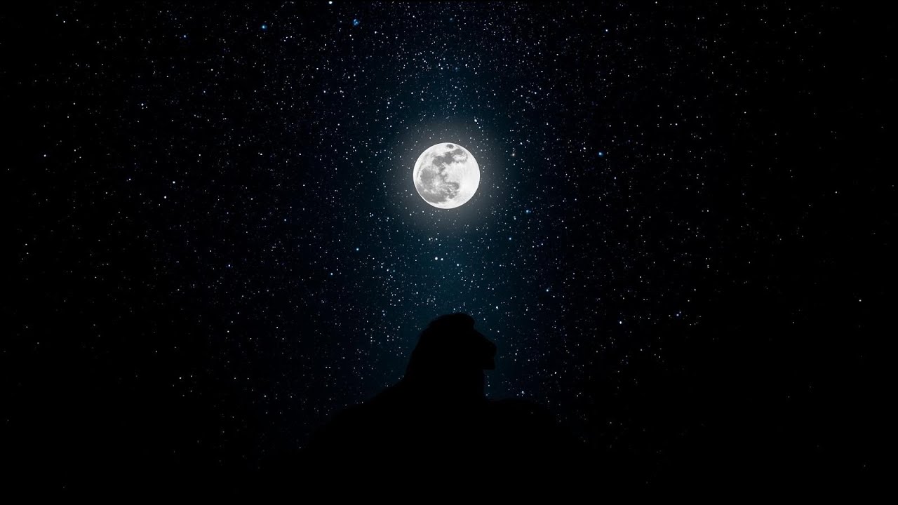 Lví úplněk 1.2 2026🌕☘️otevřete se nové vášni a radosti❤️
