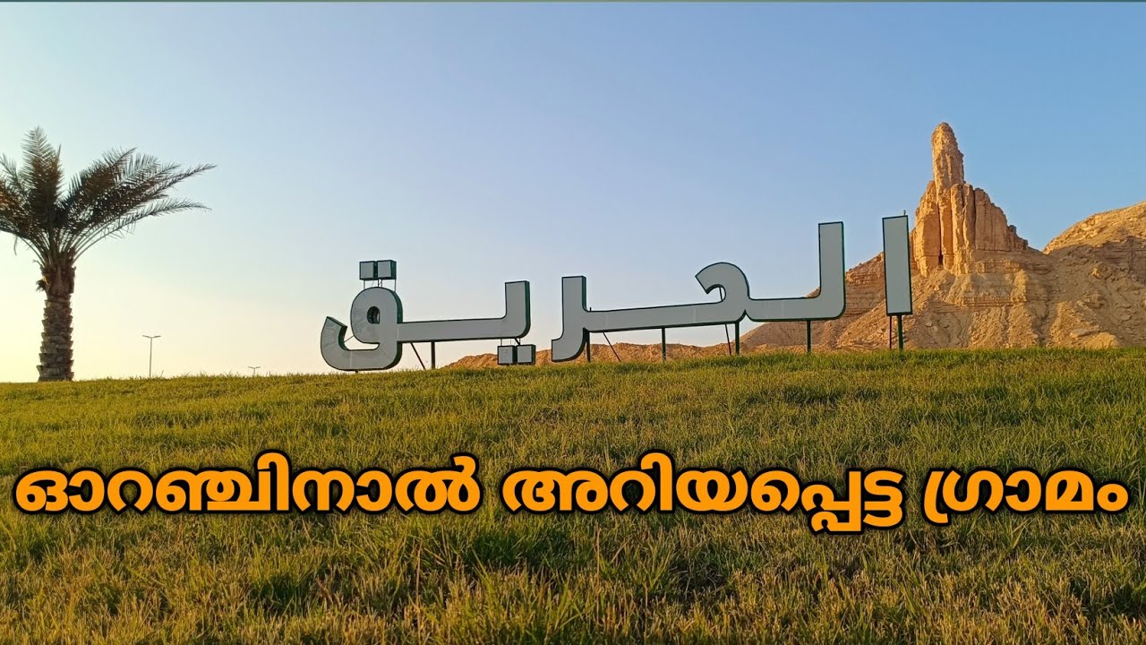സൗദി അറേബ്യയിലെ ഓറഞ്ച് തോട്ടം #saudiarabia #alhariq#orangefestival