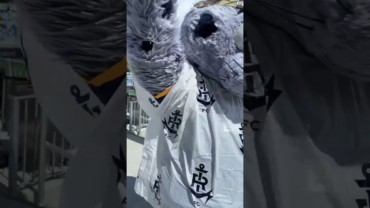#RIFC #chip401 #wickedgoodsoccer #centervillebankstadium #mascot #harborseal #chip #rifcchip