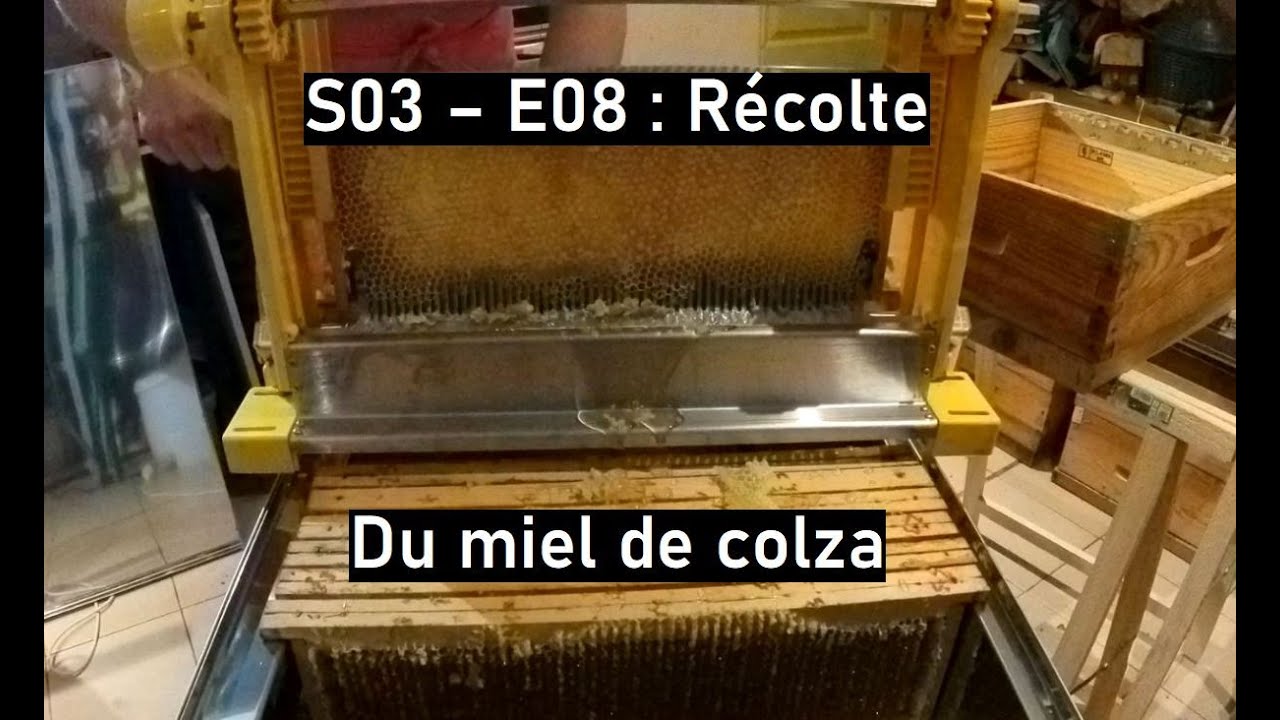 S03 - E08 : Récolte du miel de colza