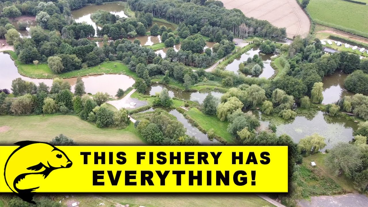 THIS FISHERY HAS EVERYTHING! Docklow Pools Fishing Sessions