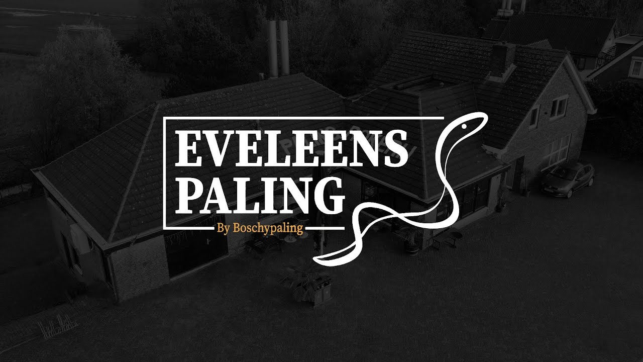 Eveleens paling in Burgerveen