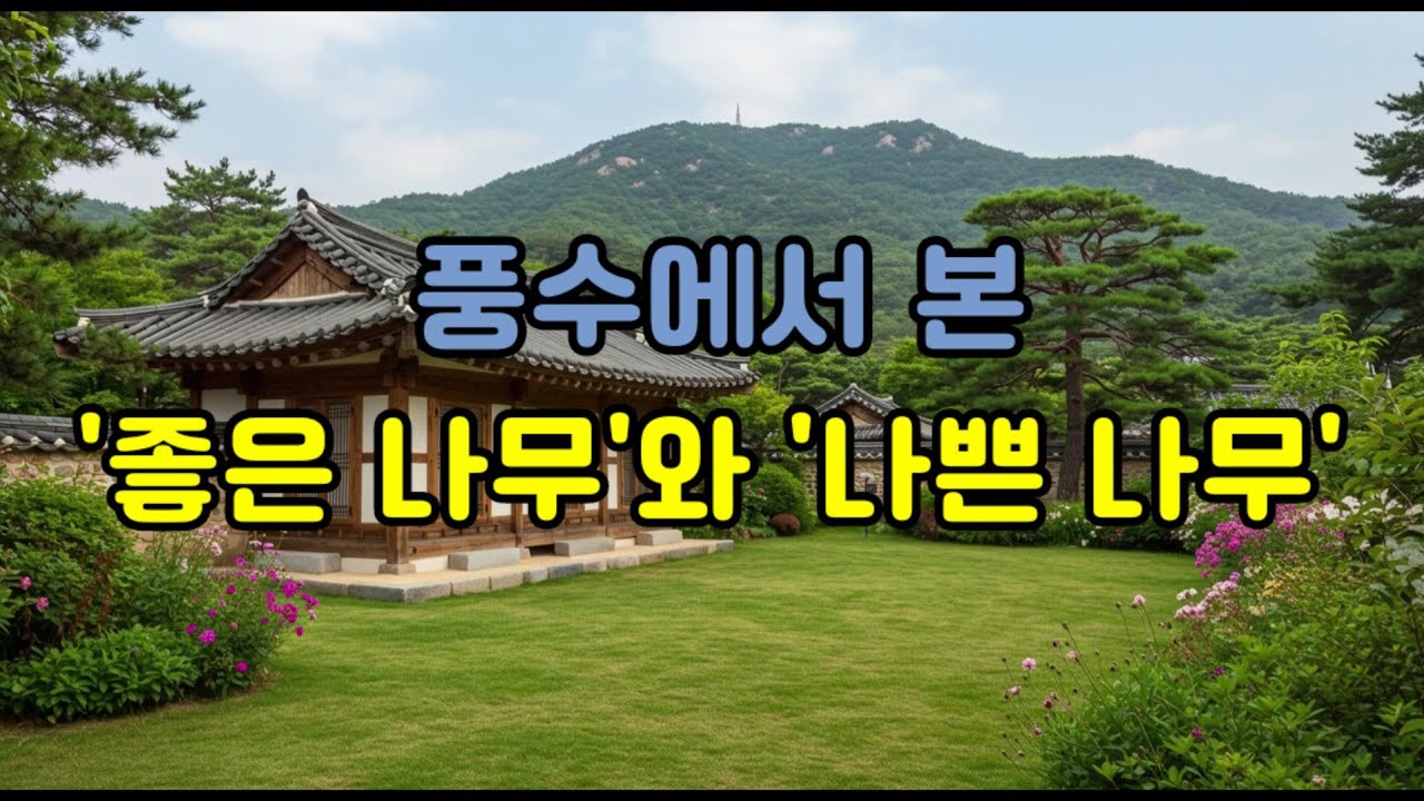 풍수에서 본 '좋은 나무'와 '나쁜 나무'