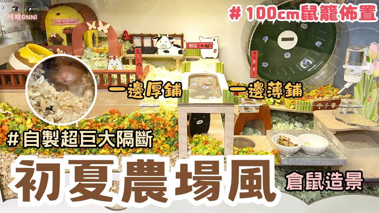 超可愛農場風格倉鼠籠佈置，自製超大隔斷一半厚鋪一半薄鋪，滿足鼠鼠挖掘需求！！！