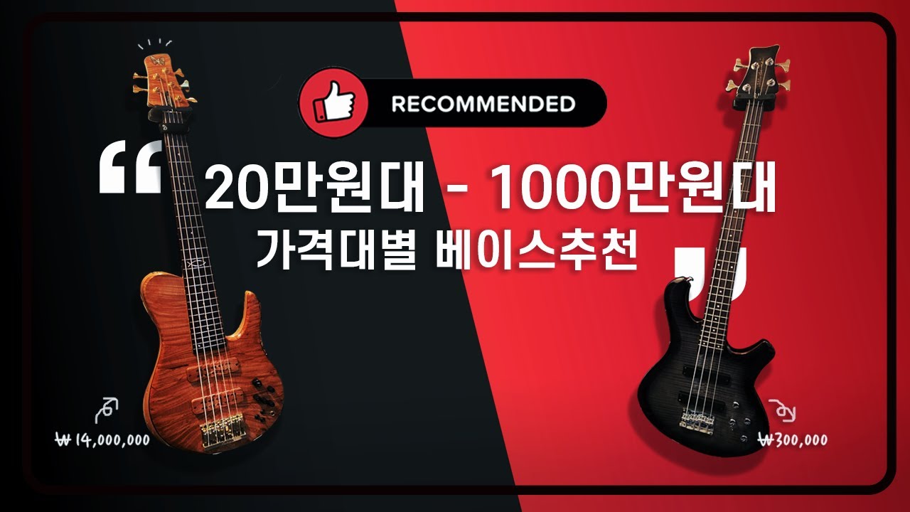 신품베이스부터 중고베이스, 입문용20만원대 부터 1000만원이 넘는 악기까지 써본 악기만 추천!ㅣ들주감EP1