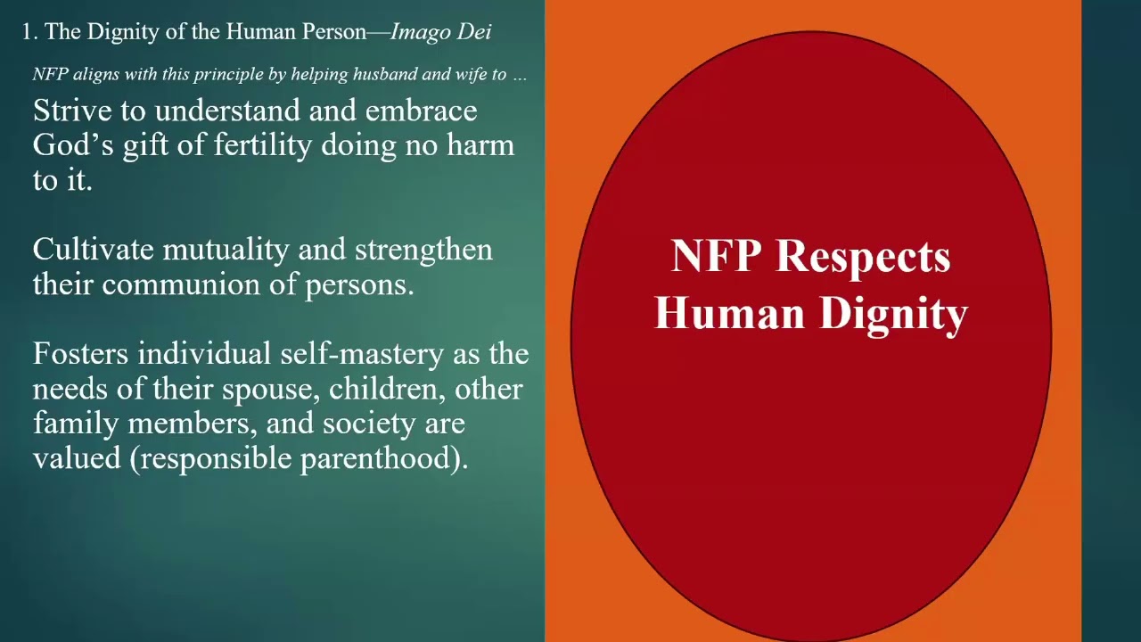 2026 NFP Office Hours March 12,  