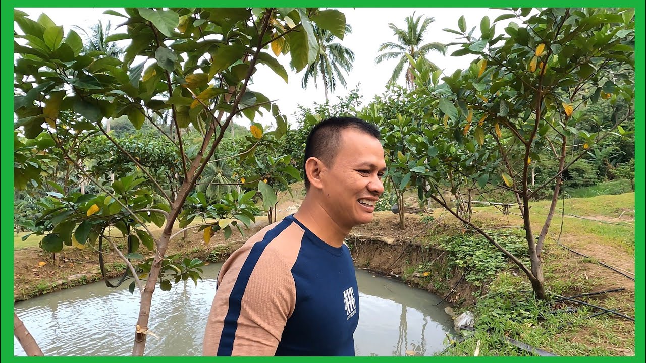 IBINALIK SA AMIN ANG ISA NAMING CARABAO(MALAPIT NA MANGANAK)