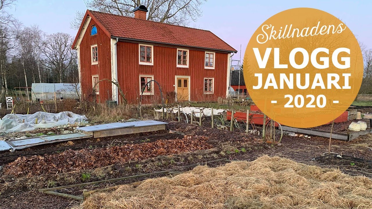 Gödsel, vintersådd och husrenovering - Vlogg januari 2020