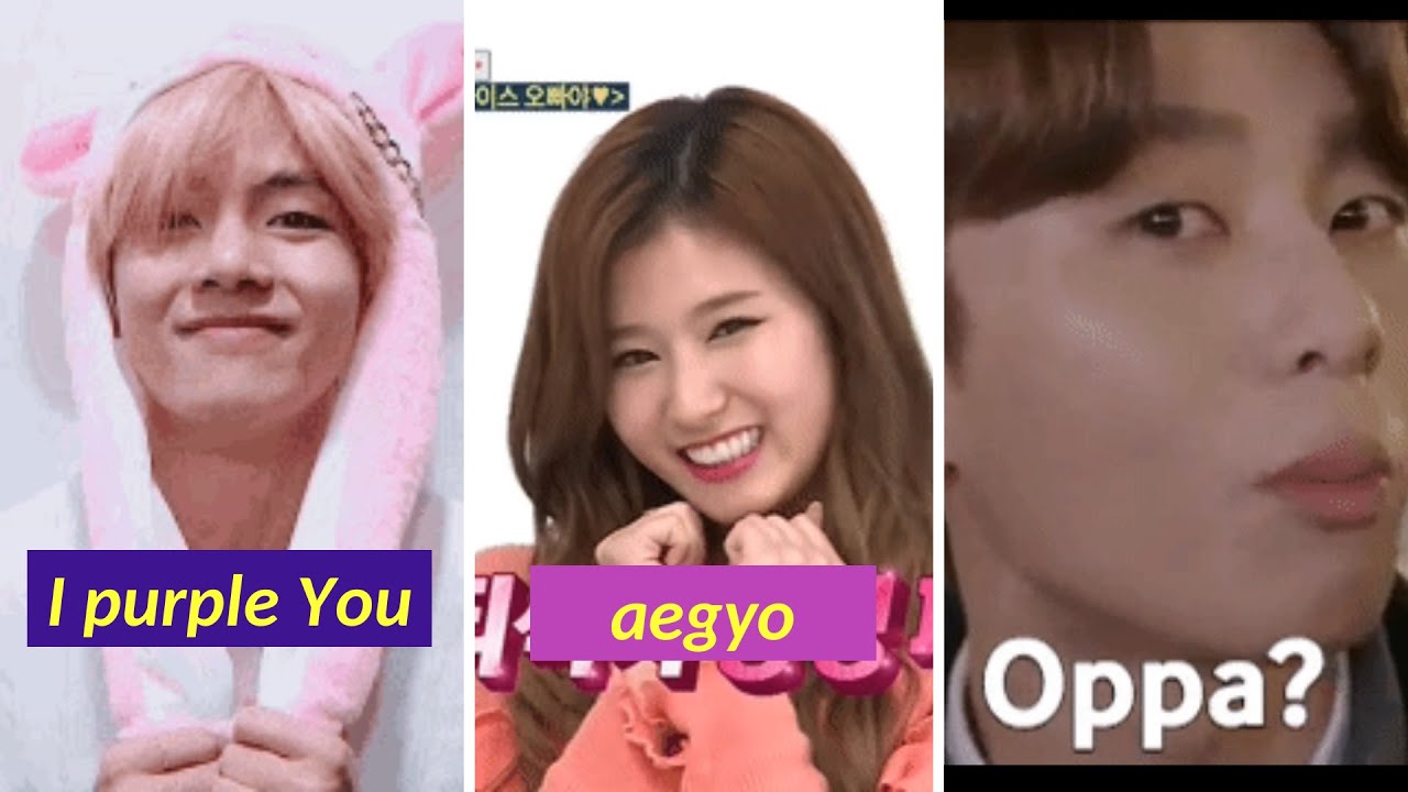 Kpop 101- Basic Kpop Slang Every Kpop Fan Needs To Know