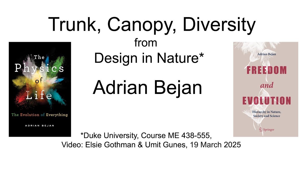 Adrian Bejan | Trunk, Canopy, Diversity, from Design in Nature