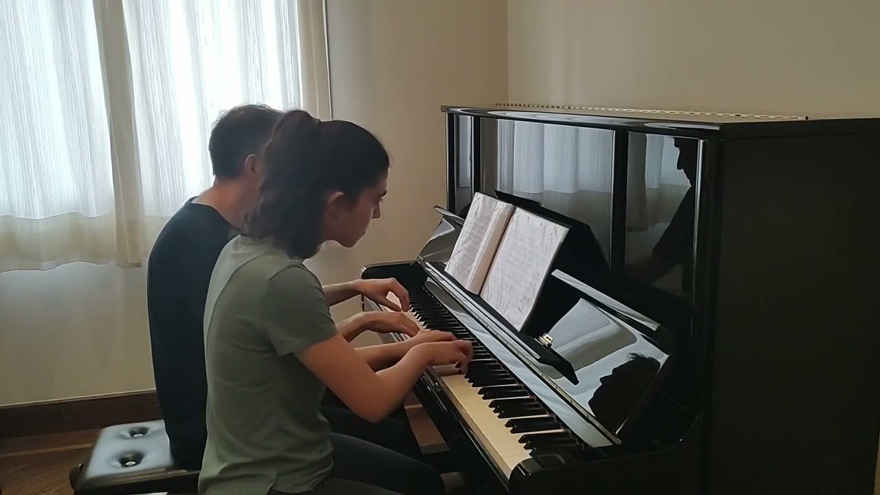 F. Schubert - Lebensstürme op. 144 (4 hands)