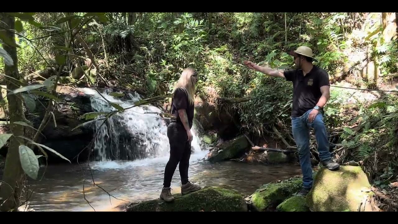 🏡 Exclusividade: Sua Cachoeira Privativa na Serra da Mantiqueira!