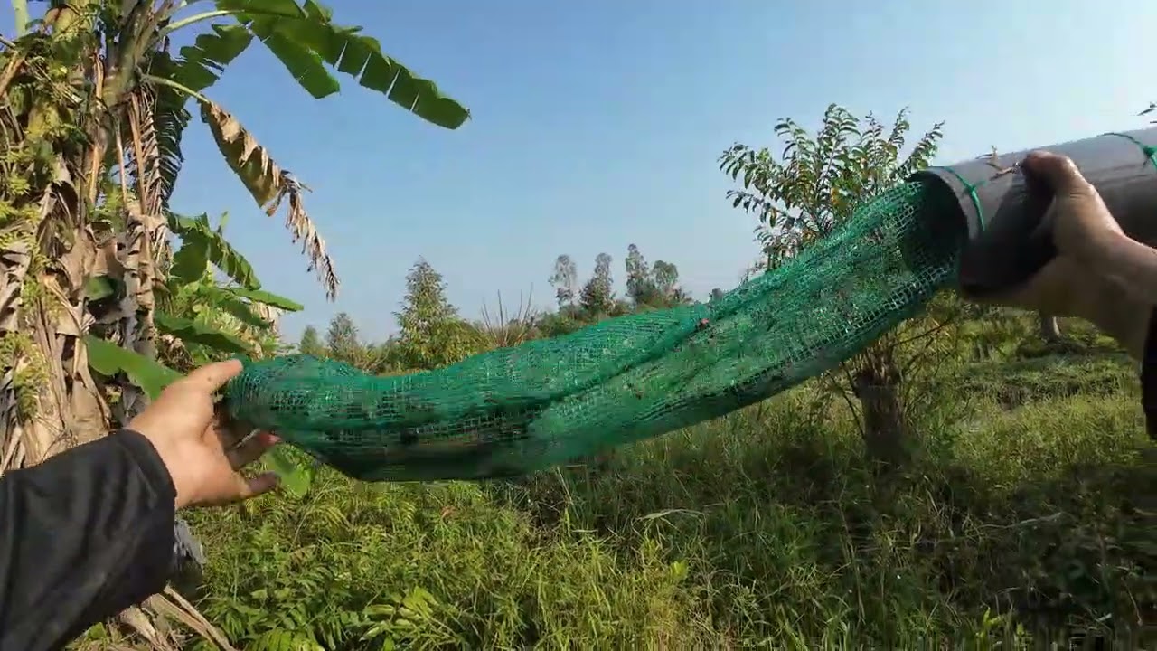 ĐẶC CHÚM HÔM NAY DÔ MÁNH HƠN 6KG HÀNG BỰ KHÔNG QUÁ ĐÃ AE ƠI