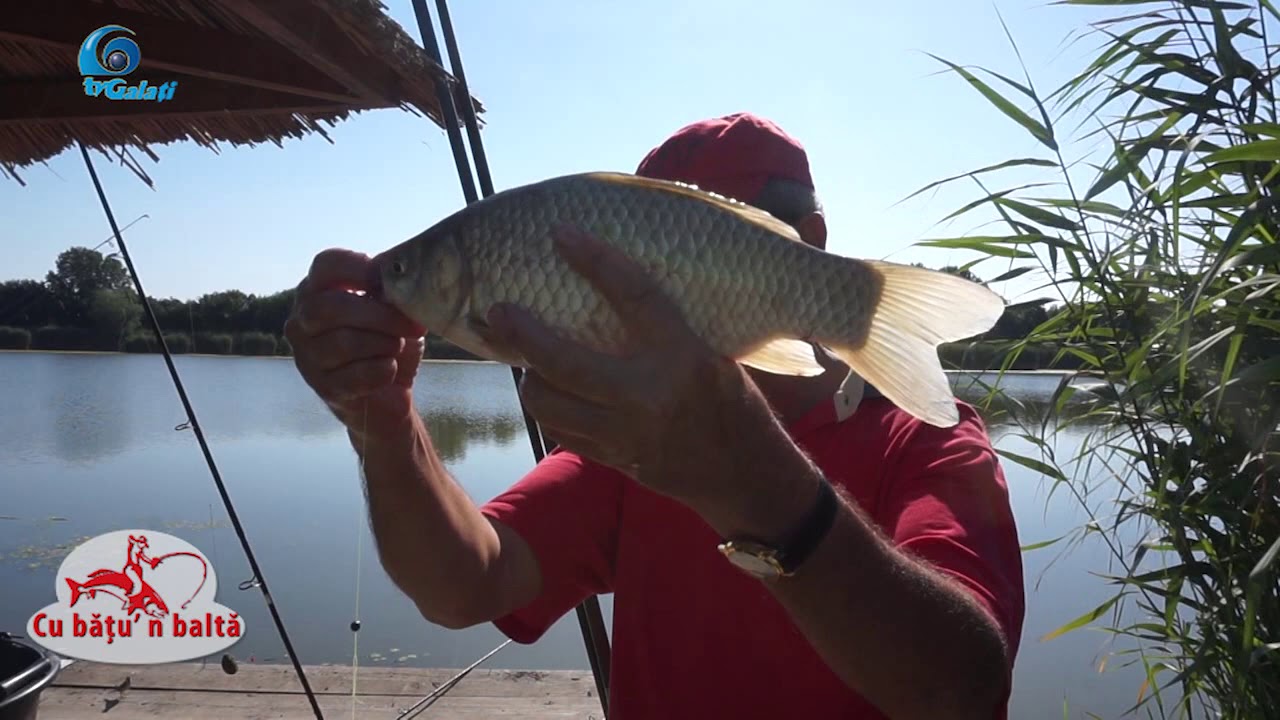 CU BATUL IN BALTA la ZATUN