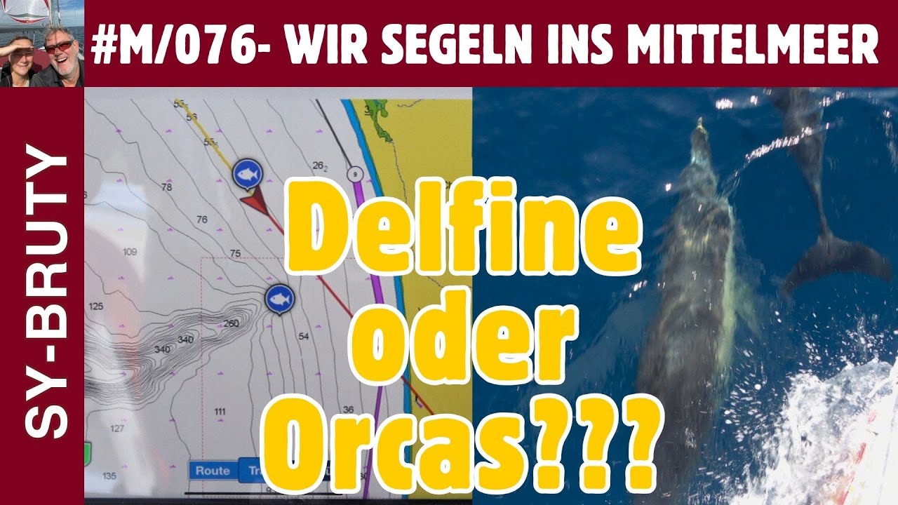 #M/076 - Delfine oder Orcas auf dem Weg nach Sines? Das ist hier die Frage!