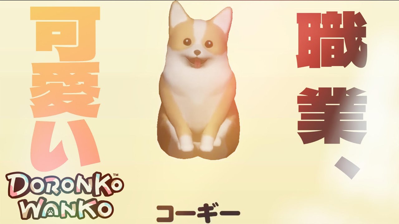 【コーギーちゃん】うるさい｜DORONKO WANKO