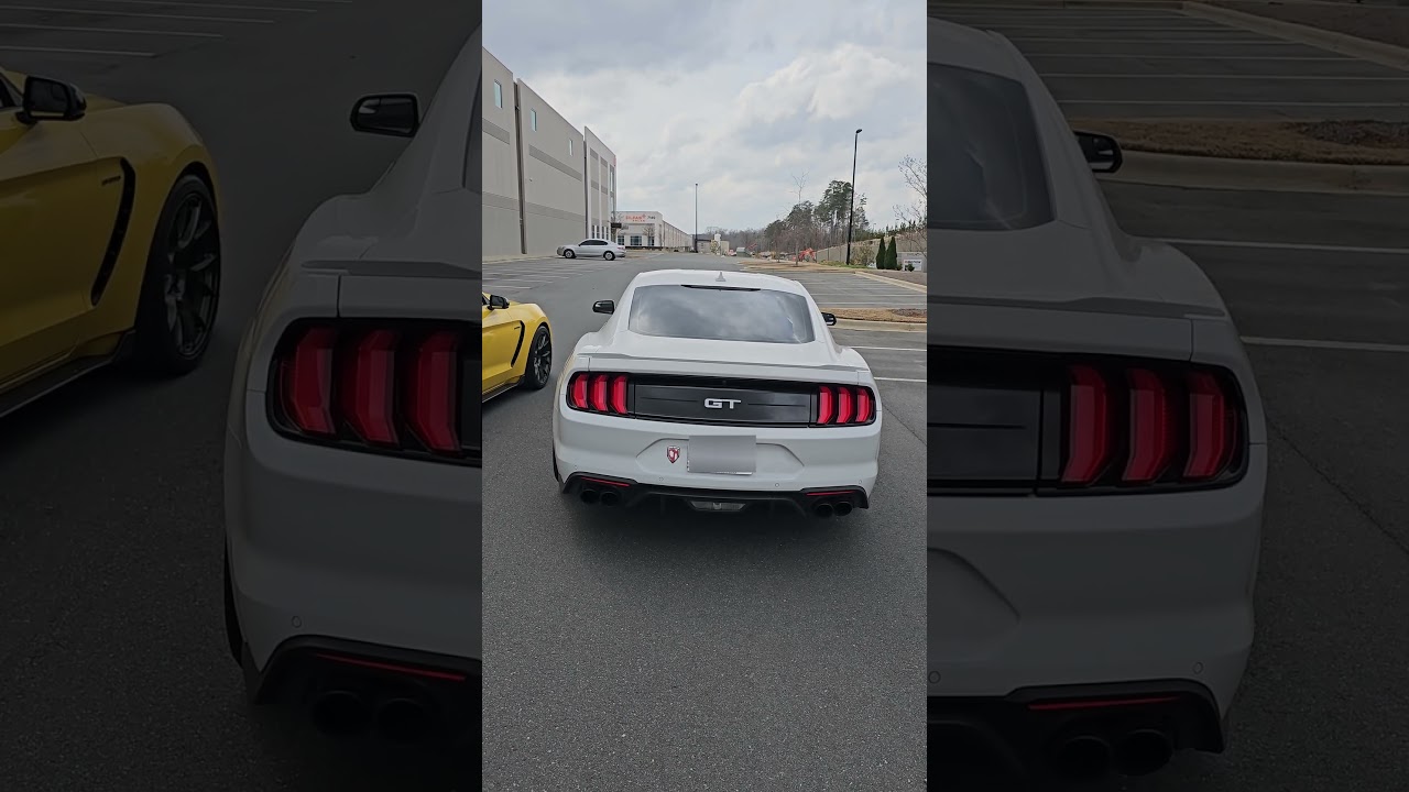 Mustang 5.0 vs. Shelby GT350