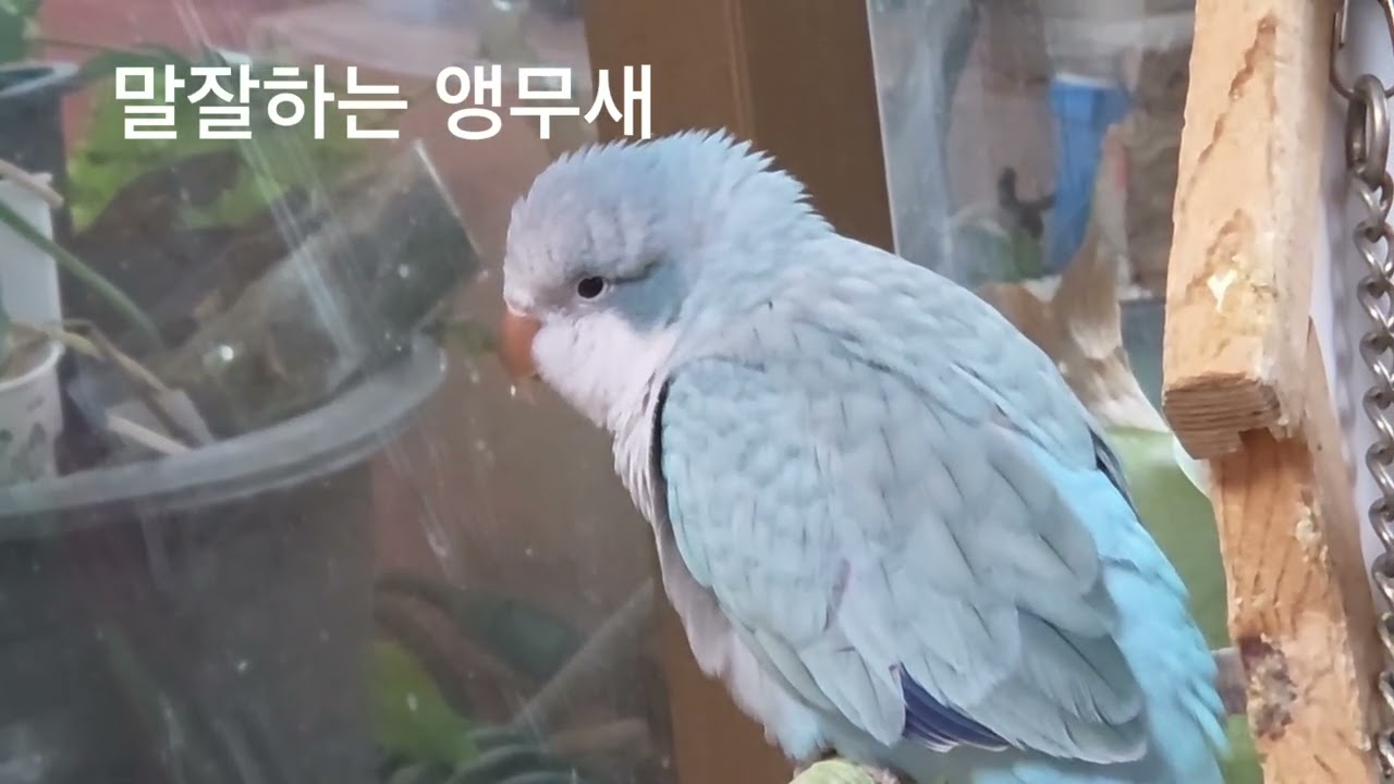 바다  말좀하죠 말잘하네요