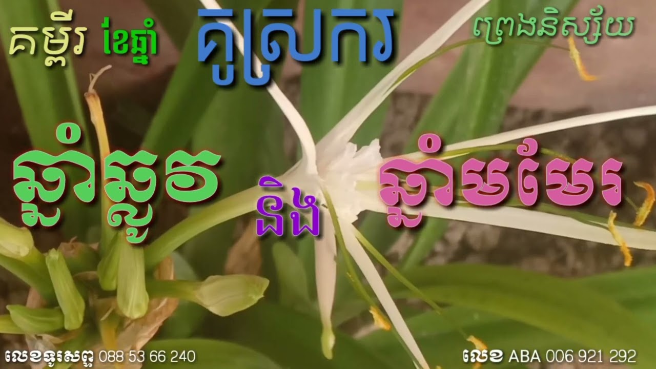 គម្ពីរ ខែឆ្នាំ គូស្រករ ព្រេងនិស្ស័យ ឆ្នាំឆ្លូវនិងឆ្នាំមមែរ លេខ ABA 006 921 292