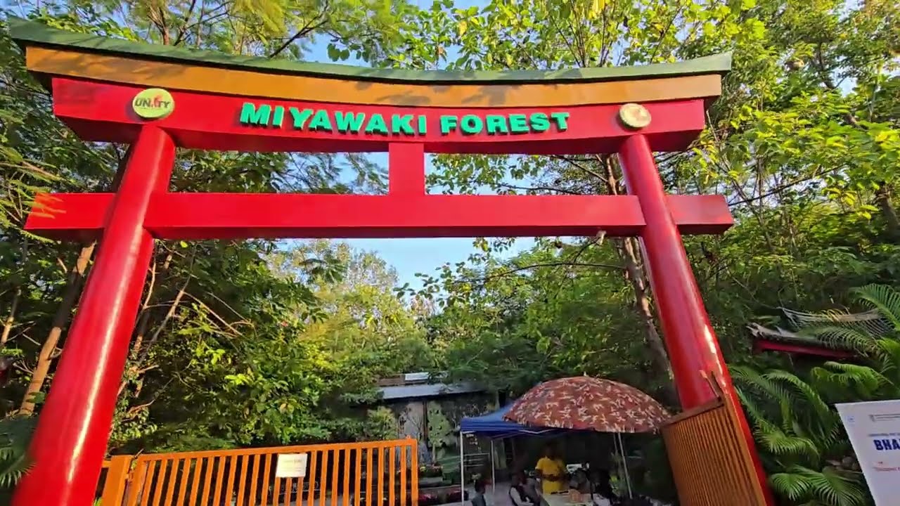 Miyawaki Forest, Statue of Unity, Kevadia