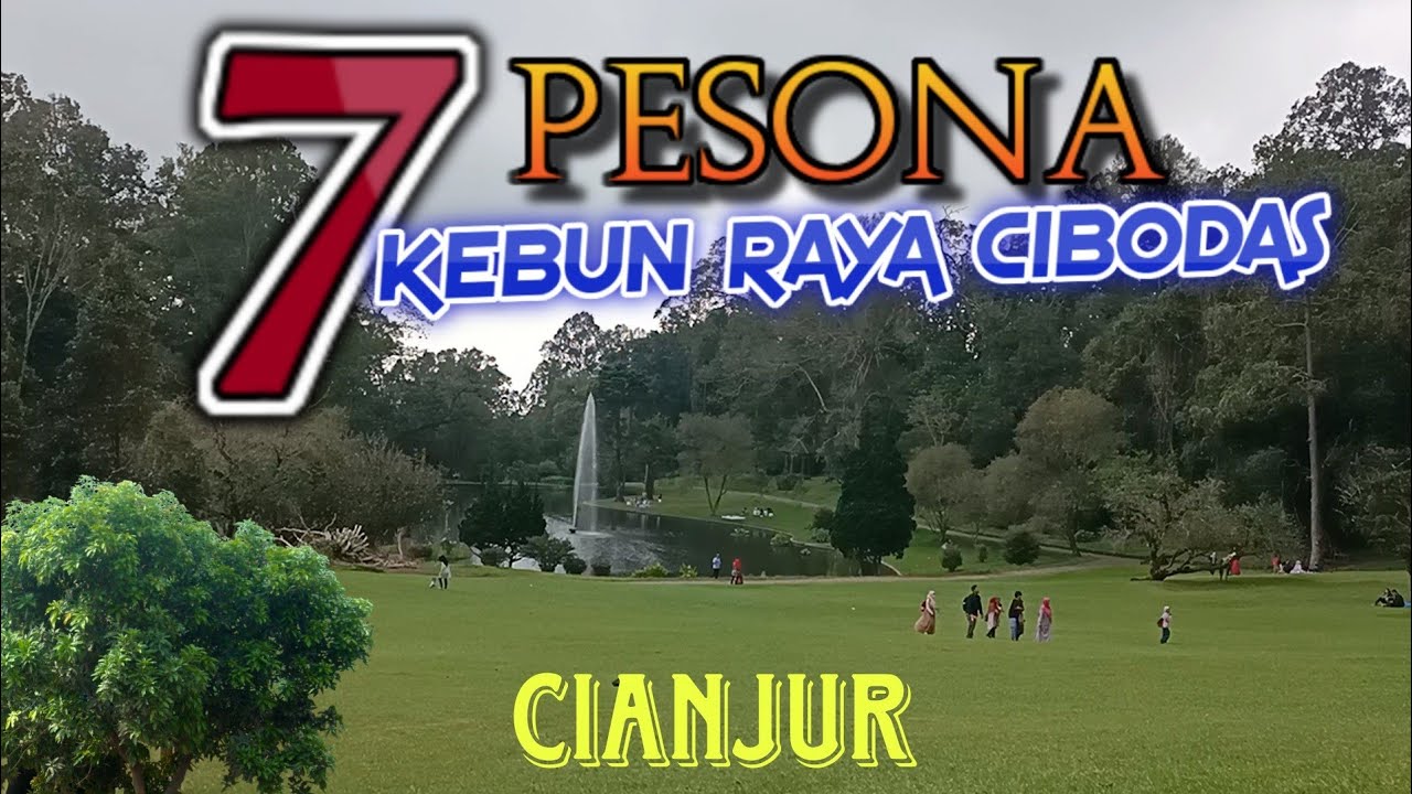 KEBUN RAYA CIBODAS CIANJUR